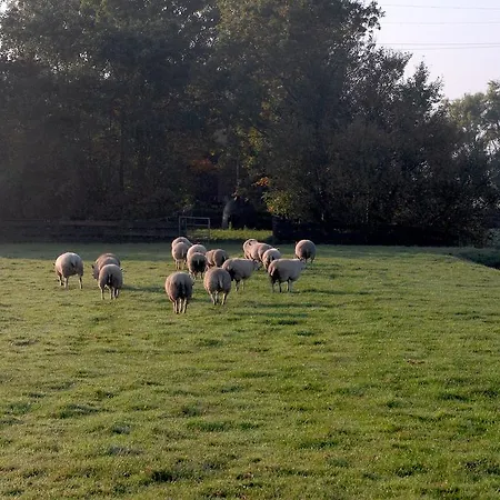 Bed and Breakfast Landhuis De Vijf Morgen Oterleek