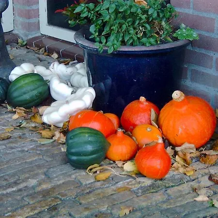 Landhuis De Vijf Morgen * Oterleek